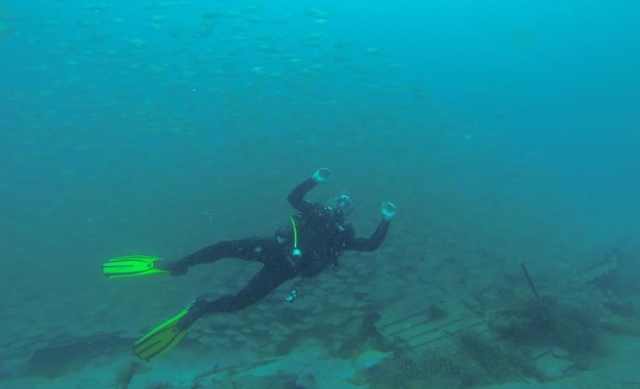 Blue Water Diving